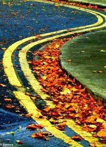 Yellow brick curving road